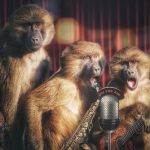 monkeys-g28fbace6a_1280.jpg